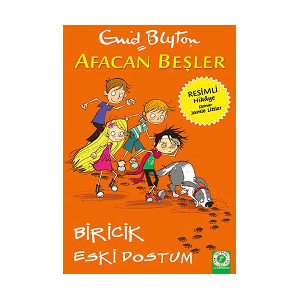 Alfa Kitap