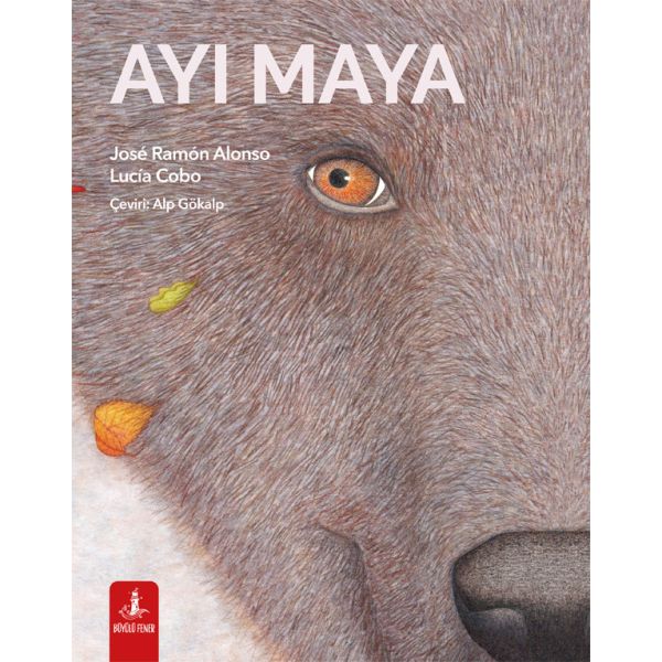 Alfa Kitap