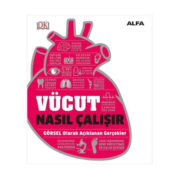 Alfa Kitap