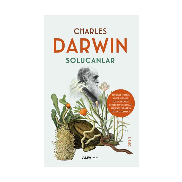 Solucanlar