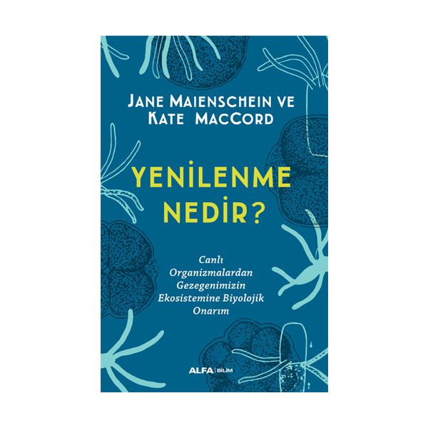 Yenilenme Nedir