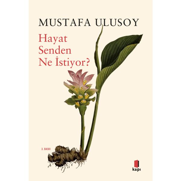 Alfa Kitap