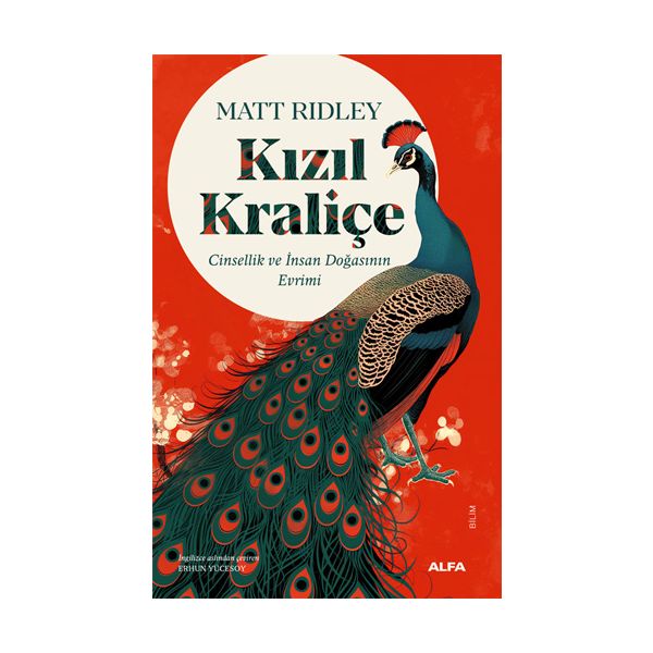 Kızıl Kraliçe