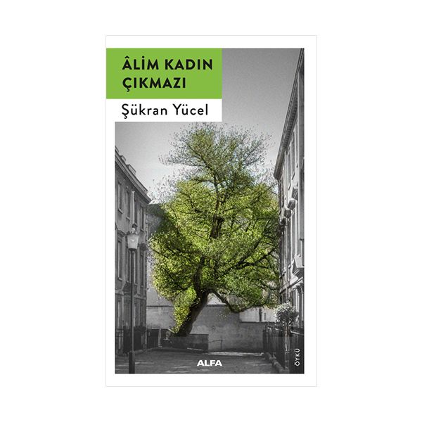 Alfa Kitap