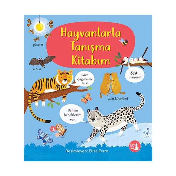 Alfa Kitap