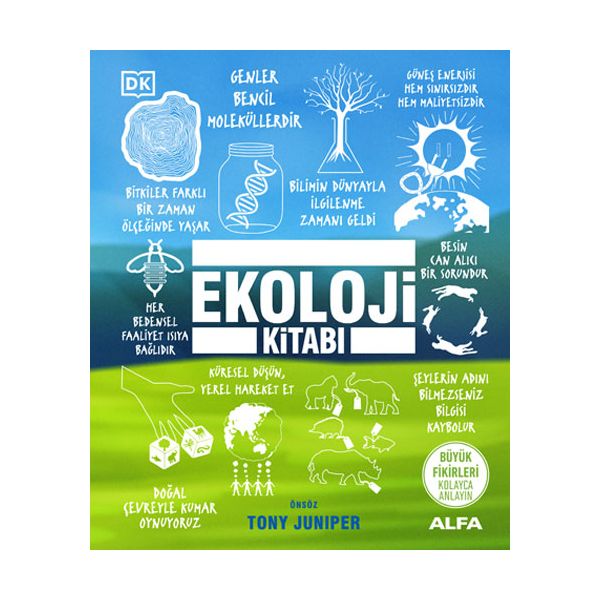 Alfa Kitap