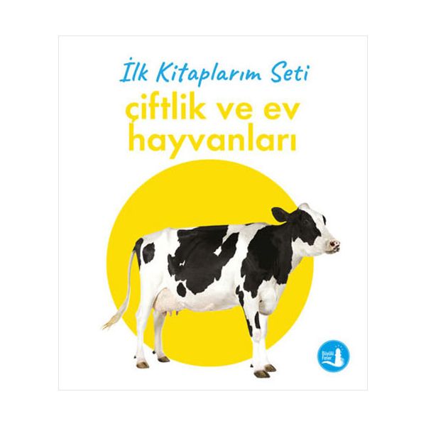 Alfa Kitap