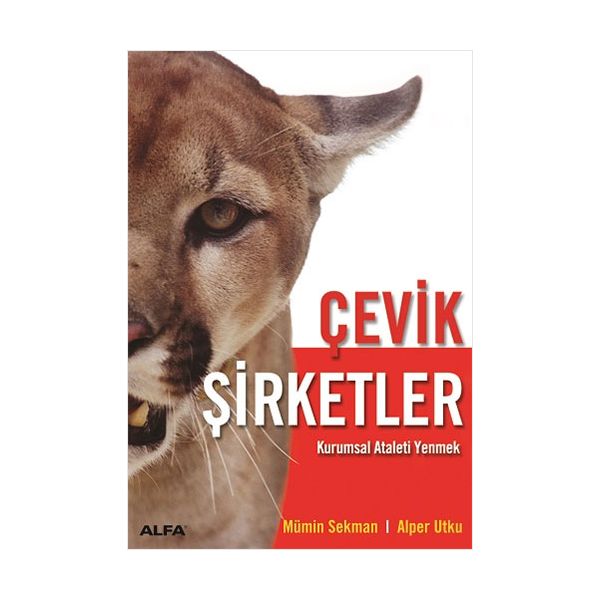 Alfa Kitap