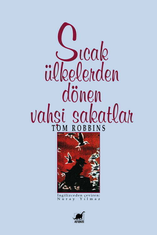 Ayrıntı Yayınları