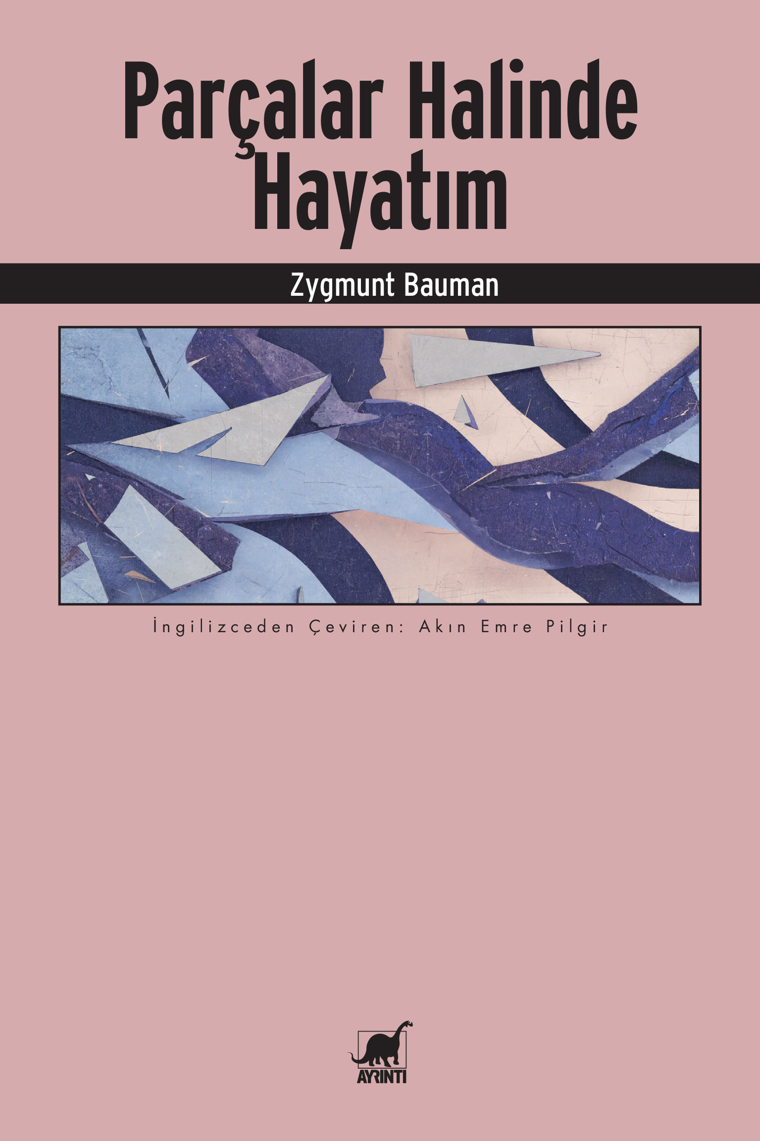 Ayrıntı Yayınları