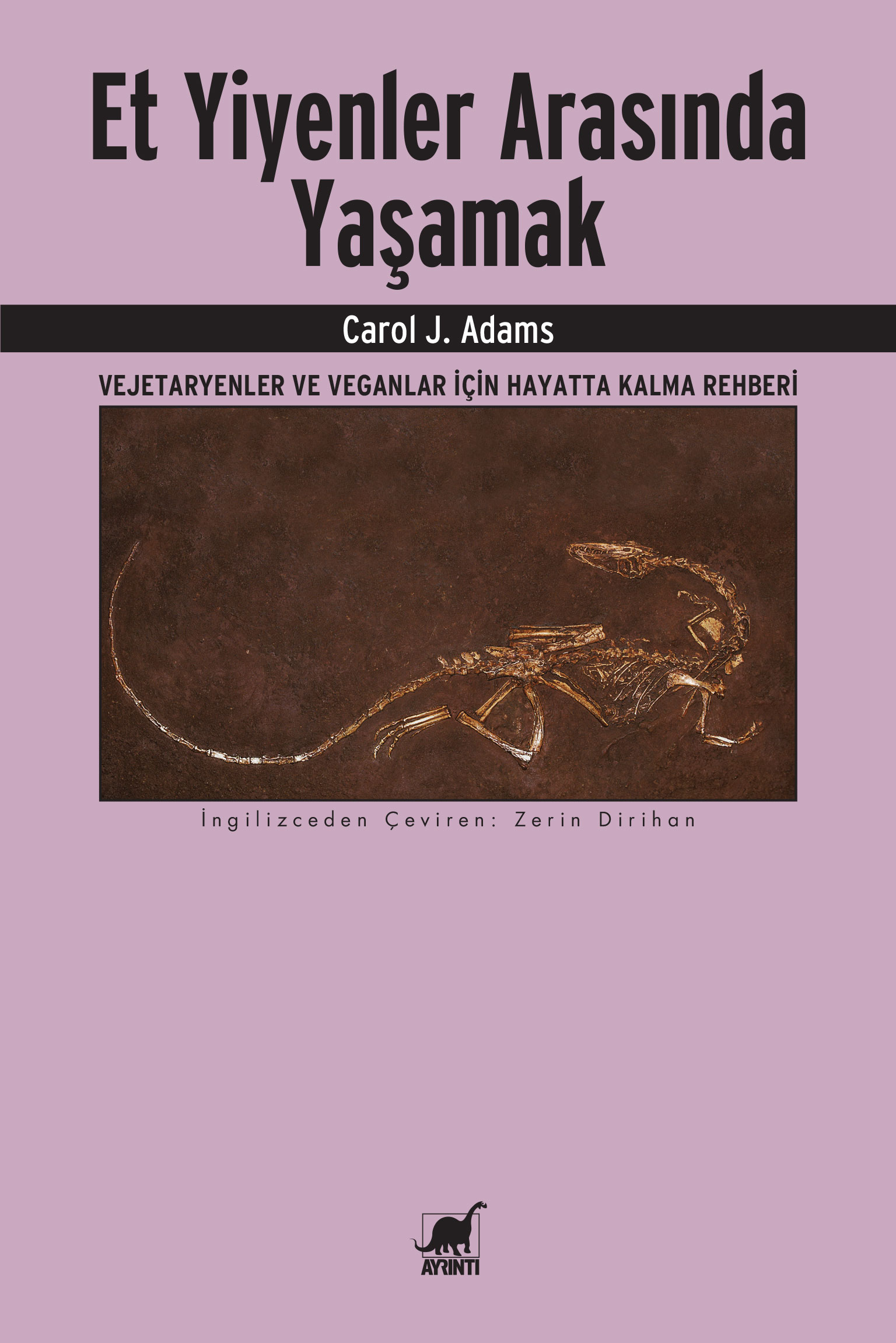 Ayrıntı Yayınları