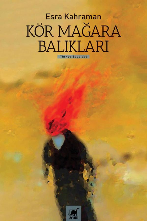 Ayrıntı Yayınları