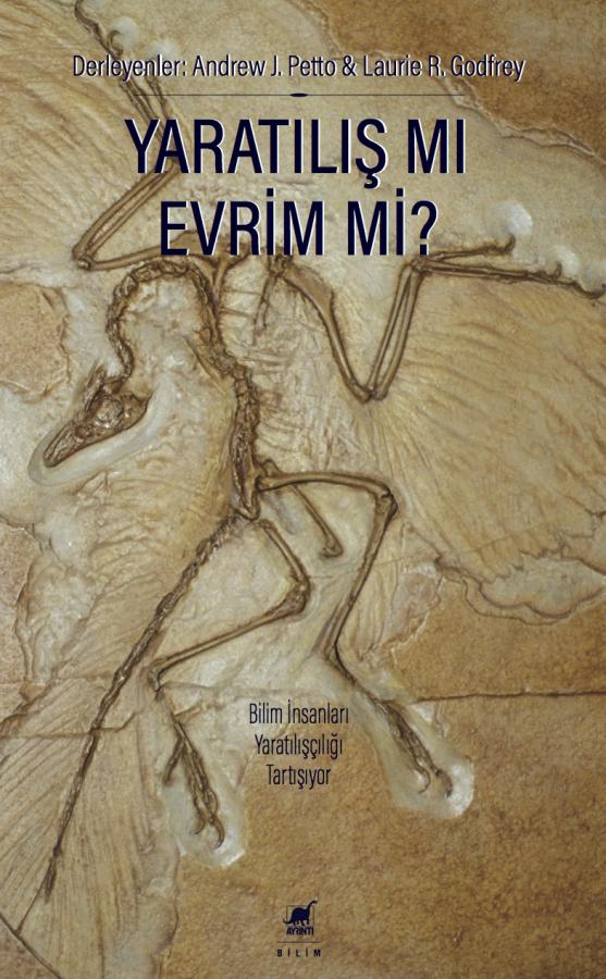 Ayrıntı Yayınları