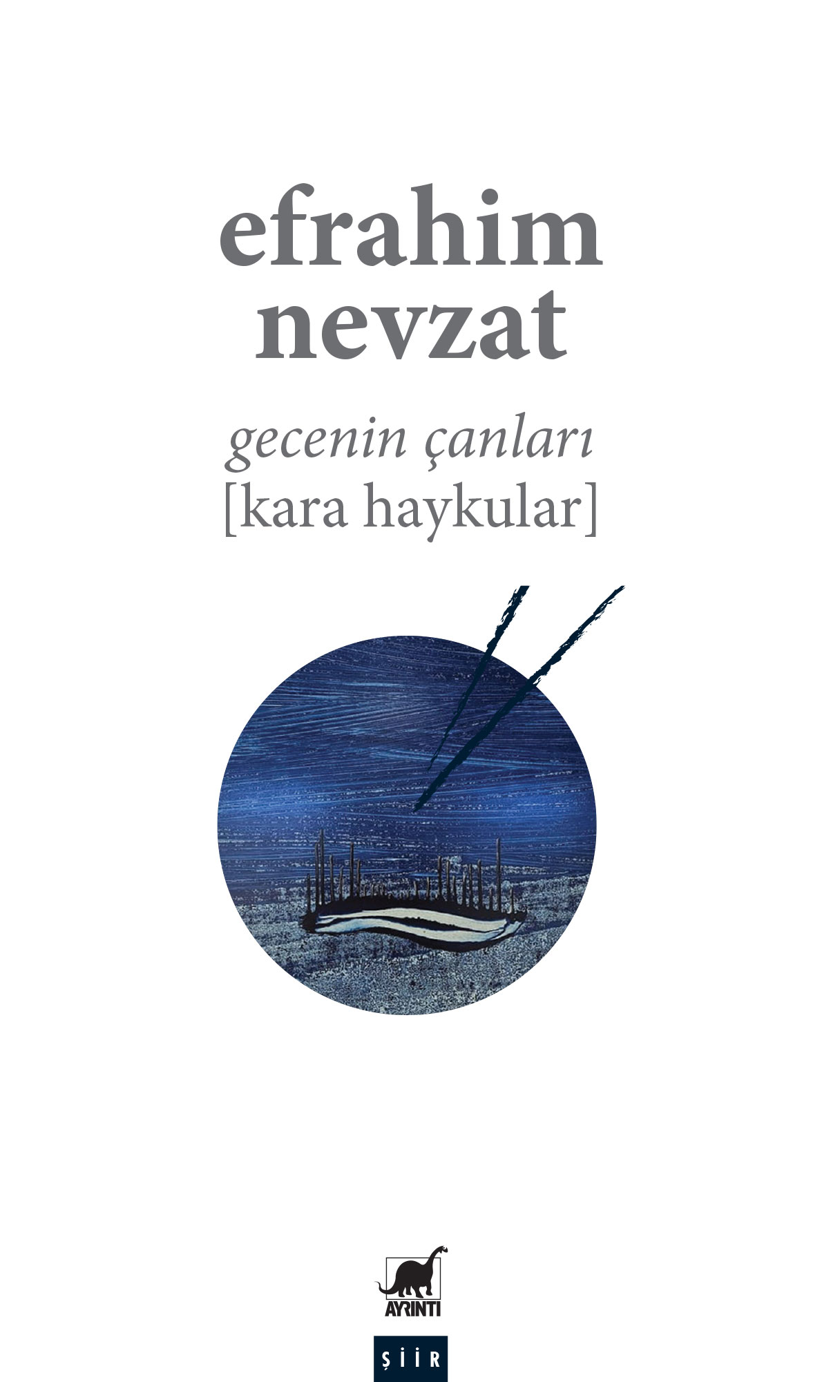 Ayrıntı Yayınları
