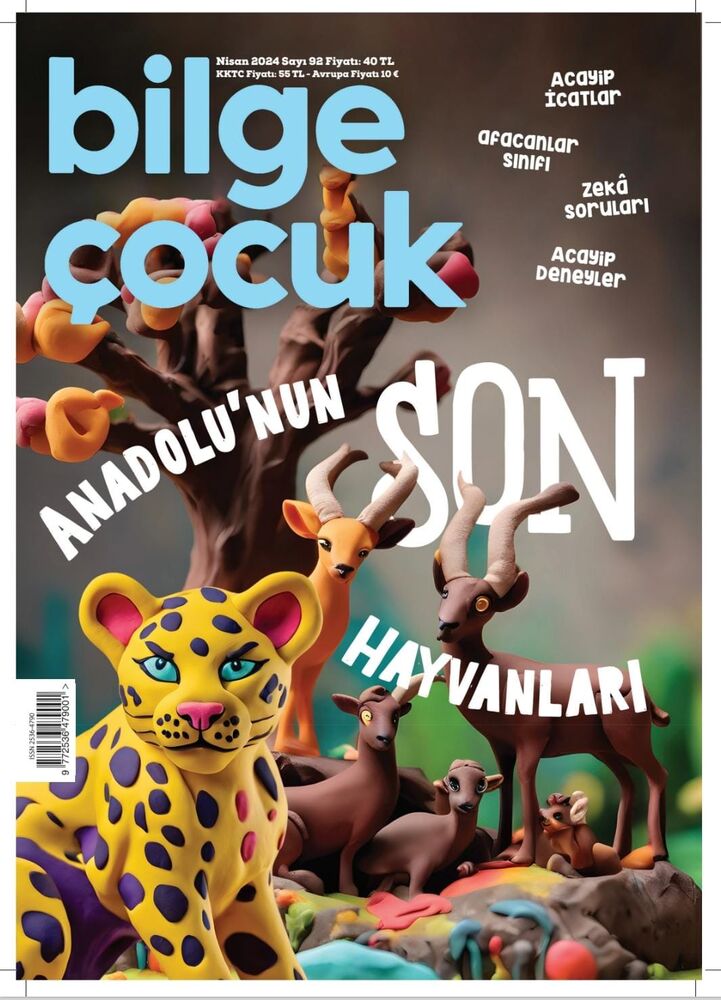 Birlikte Dağıtım