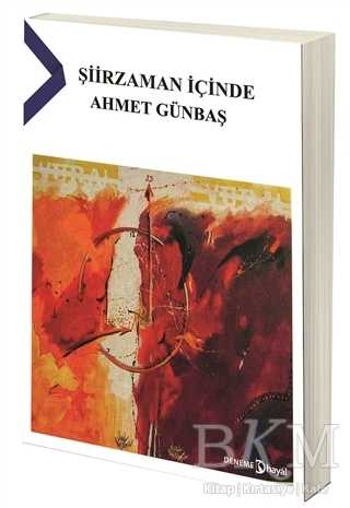 Şiirzaman İçinde