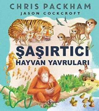 Şaşırtıcı Hayvan Göçleri