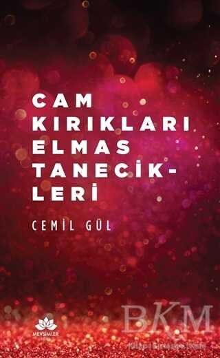 BKM Kitap