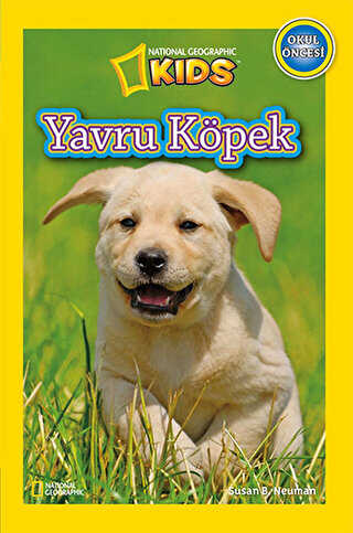 Yavru Köpek