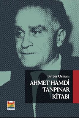 Bir Güneş Avcısı Ahmet Hamdi Tanpınar