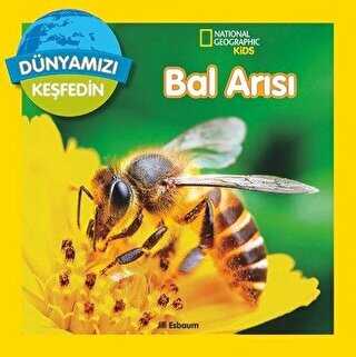Koalalar Dünyamızı Keşfedin