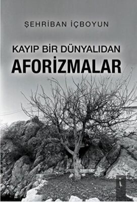 Kayıp Bir Dünyalıdan Afo rizmalar
