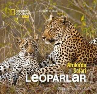Afrika da Safari Gergedanlar
