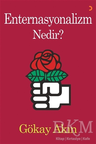 Enternasyonalizm Nedir