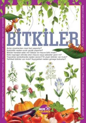 BKM Kitap