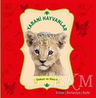 Yabani Hayvanlar Dokun ve Hisset