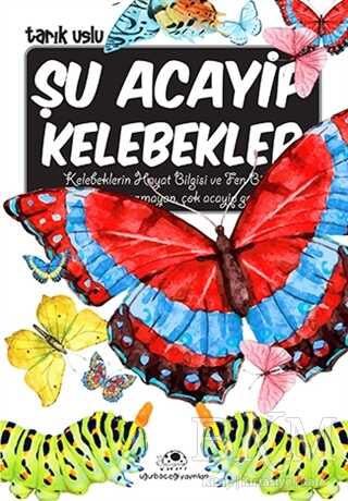 BKM Kitap