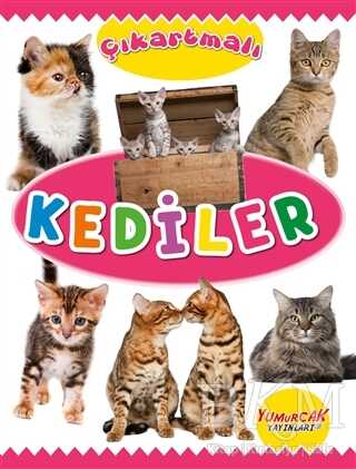 BKM Kitap