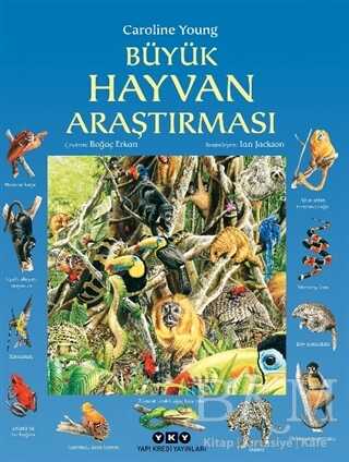 BKM Kitap