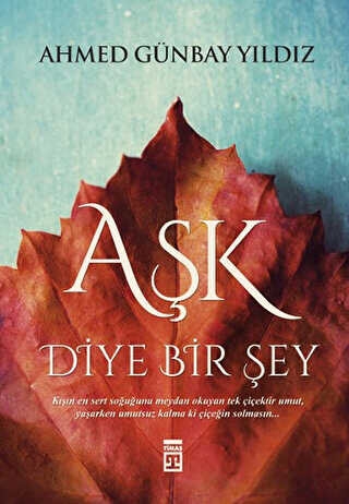 BKM Kitap