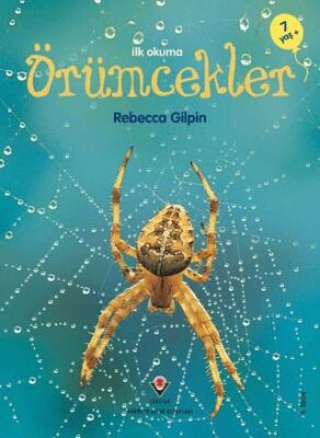 İlk Okuma Örümcekler