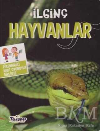Sevimli Hayvanlarla Bir Gün