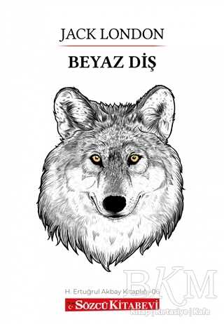 BKM Kitap