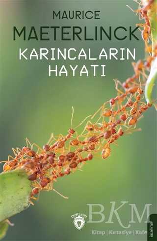 BKM Kitap