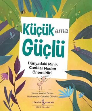 BKM Kitap