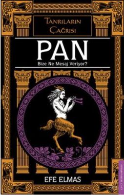 Pan Bize Ne Mesaj Veriyor