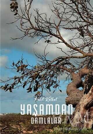 Yaşamdan Damlalar