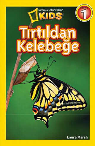 Tırtıldan Kelebeğe