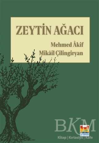 Zeytin Ağacı