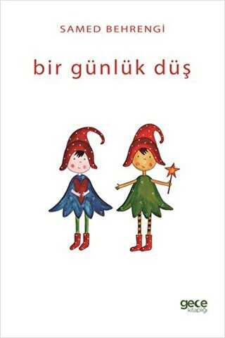 Bir Günlük Düş