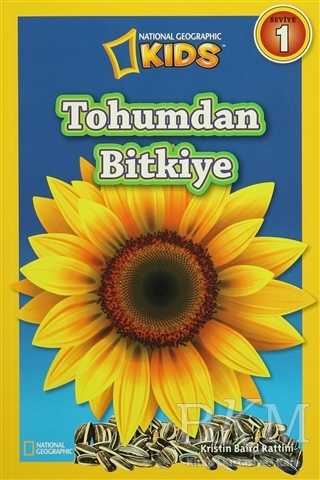 Tohumdan Bitkiye