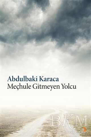 Meçhule Gitmeyen Yolcu