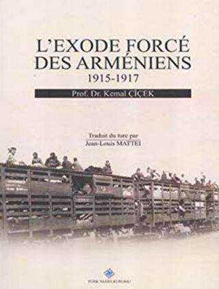 L exode Force Des Armeniens 1915 1917