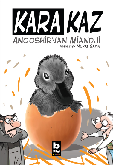 Bilgi Yayınevi