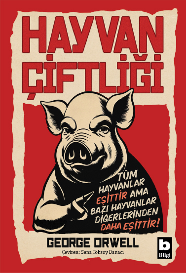 Bilgi Yayınevi