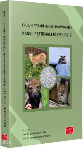 Benli Kitap